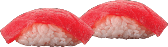 Ton Nigiri